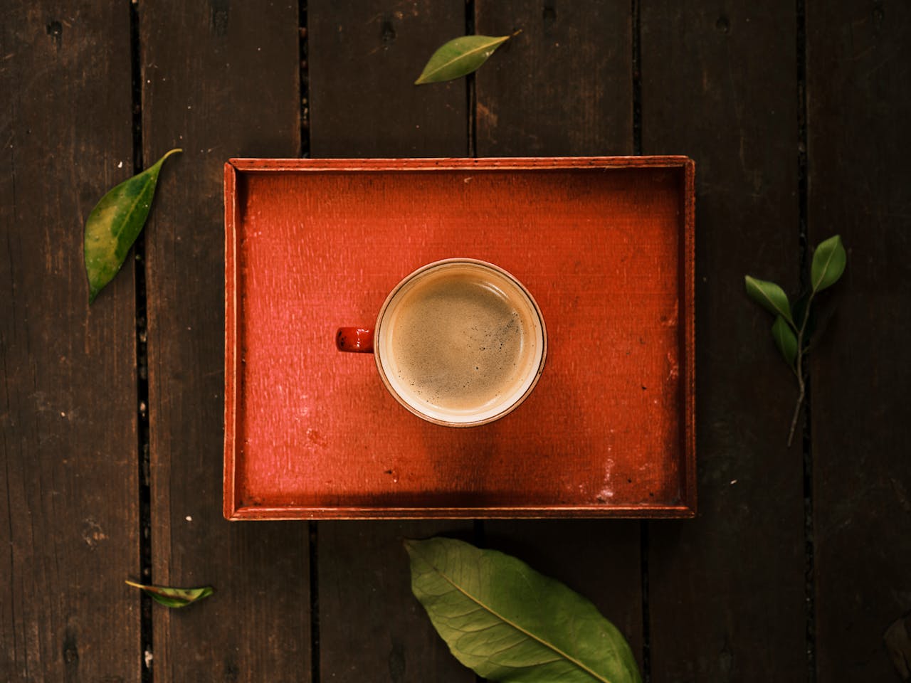 A coffee cup on a wooden tray surrounded by leaves, captured from above.